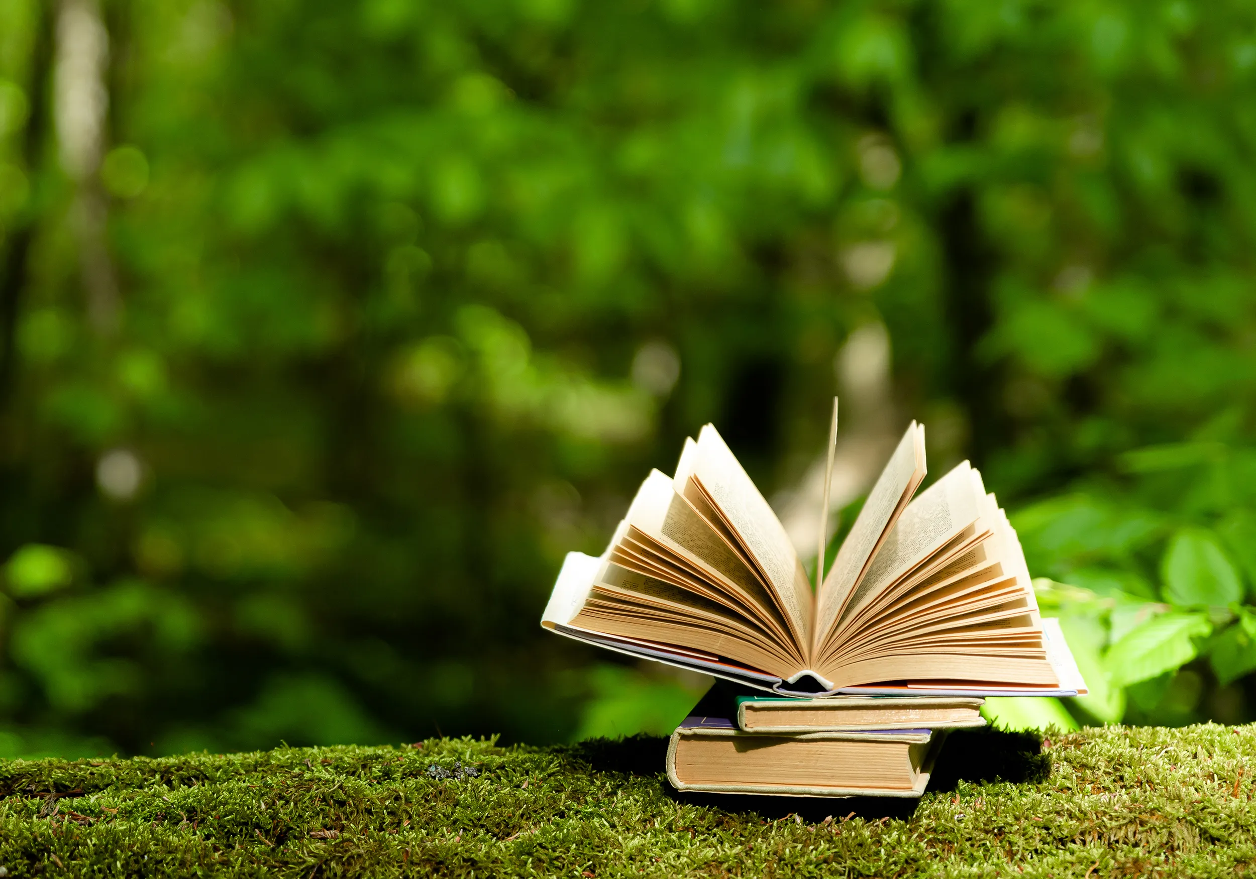 jak czytać kroniki akaszy, co to, kroniki akaszy sesja, opinie