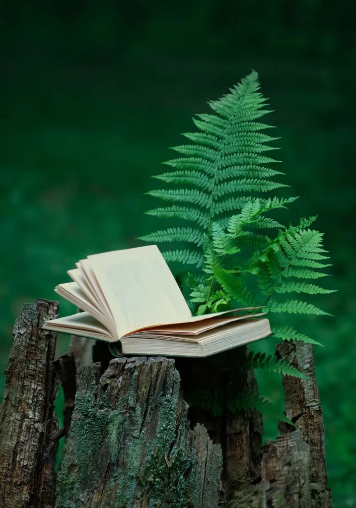 praca w kronikach akaszy, zabiegi energetyczne, kroniki akaszy