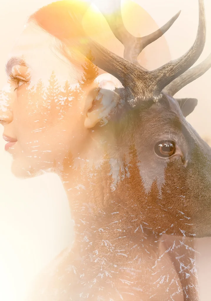 zwierze mocy, duchy szamańskie, duch opiekuńczy