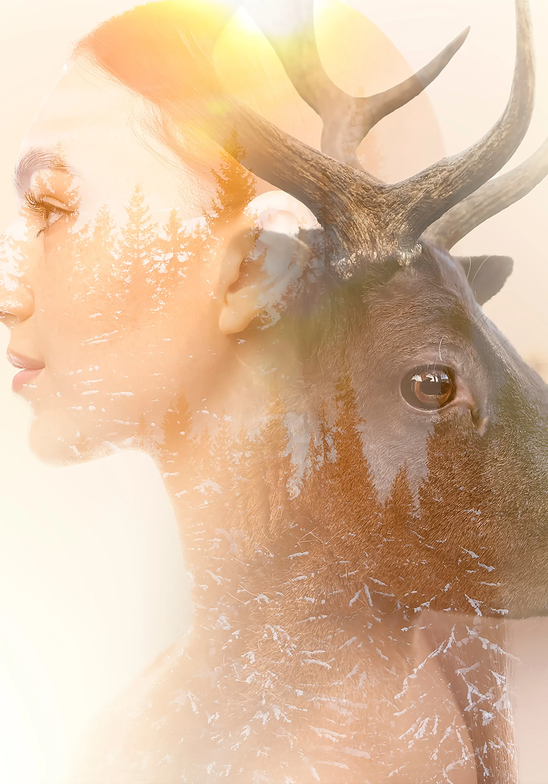 zwierze mocy, duchy szamańskie, duch opiekuńczy